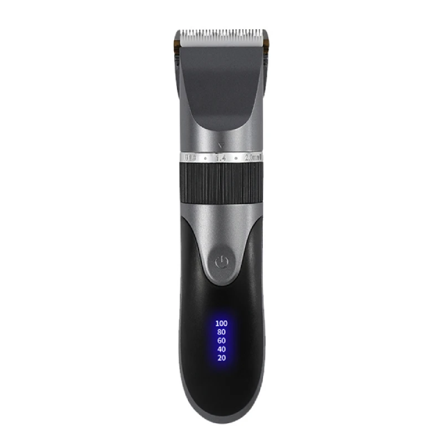 Professional cordless hair clipper